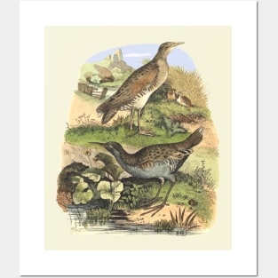Birds on the landscape background Posters and Art